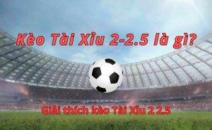kèo tài xỉu 2.5 tại thể thao rr88